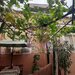 Casa Interbelica - Ultracentral- Popa Nan, Piata Alba Iulia